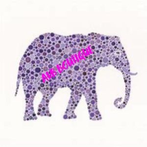 Meet your Posher, Anysia